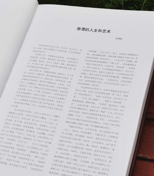 重点推荐！！！《徐渭书画全集》，精装，8开，函套装全2册，徐渭绘著，天津人民美术出版社2014年一版，2019年二印，近500页，定价800，售价398元。 商品图4