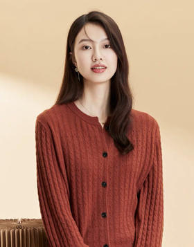 皮尔卡丹毛衫 秋冬季新款绵羊毛宽松保暖气质显瘦圆领女软糯风上衣毛衣