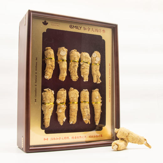 自营（森元）-欧美丽 加拿大进口西洋参稀世珍品礼盒-参段均30克 商品图0