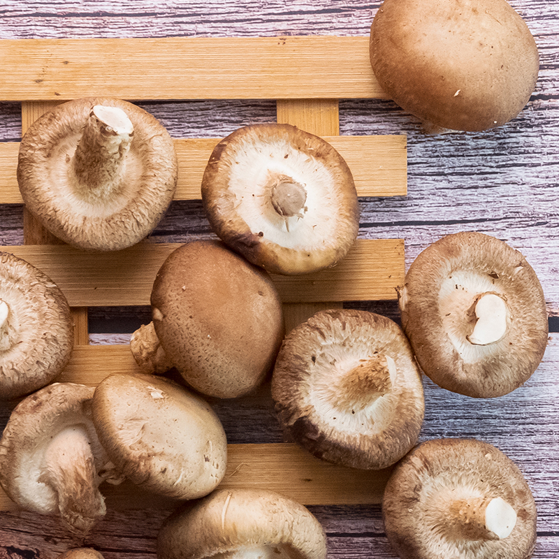 精品菜：鲜香菇250g