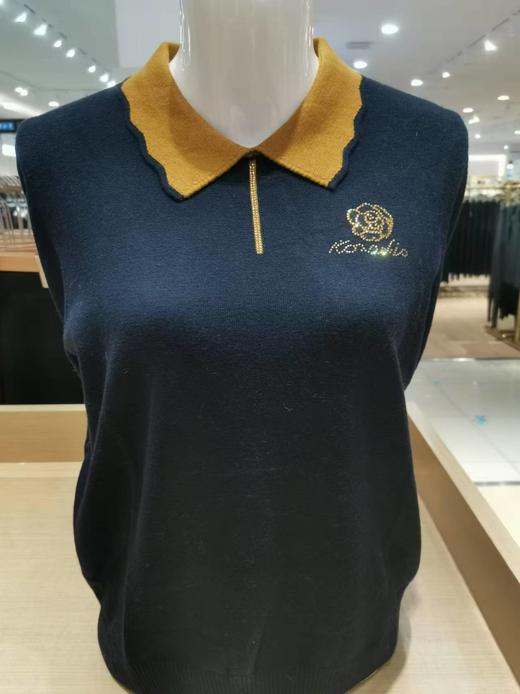 天山羊毛翻领女套衫 商品图1