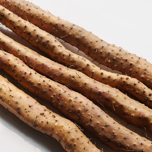 怀川臻仁【礼盒装】垆土铁棍山药 怀山药营养健康软糯香甜 原种种植产地直发 商品图2