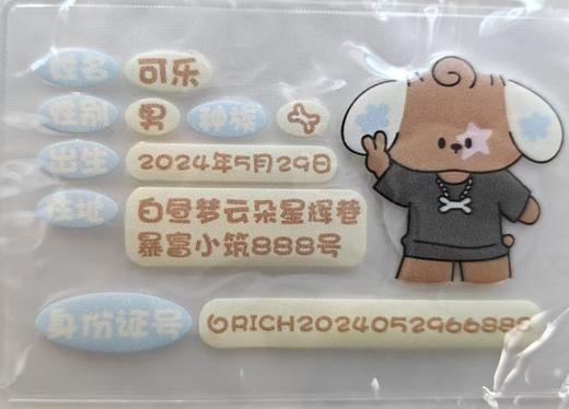 rbb丨身份证件套 商品图0