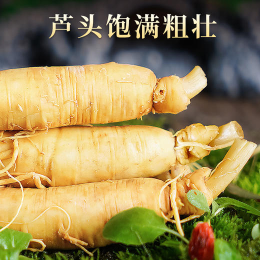 热销T【保鲜参礼盒】吉林特产人参新鲜人参150g8支装 商品图9