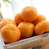 妙脆-太秋甜柿（甜润不涩🧡酥脆浸汁） 商品缩略图4