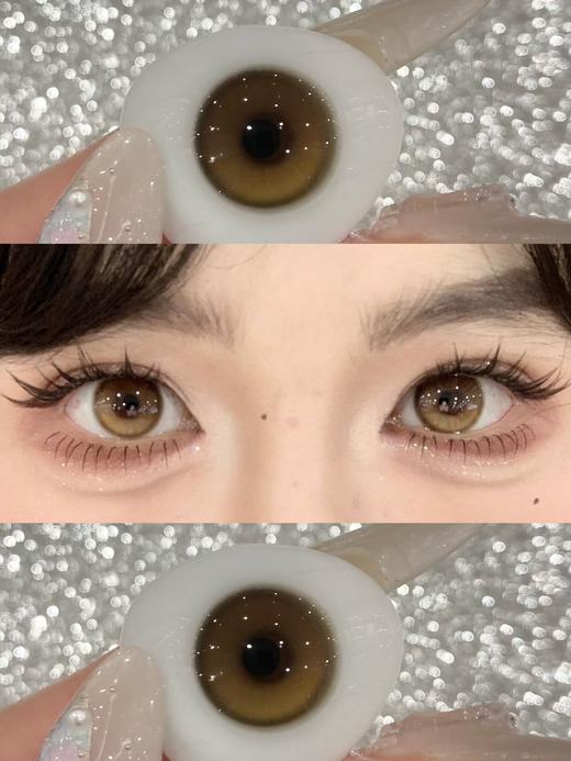 Allecon旗下 ·奶油小灯泡pro&芋泥小灯泡pro· 14.2mm白狮参考着色中等直径  韩产年抛 商品图2