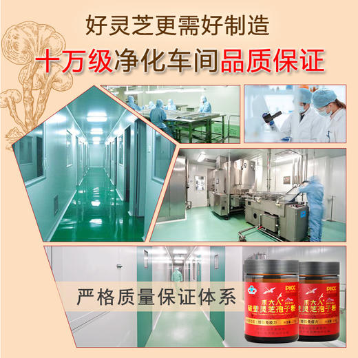 粉质细腻 菌香味浓 | 长白山破壁灵芝孢子粉 孢子油丰富 无熏染无添加 食养保健 100g/瓶 商品图8