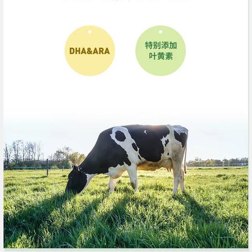 澳大利亚进口珍澳高钙学生奶粉便携条装不添加蔗糖青少年儿童奶粉 商品图1