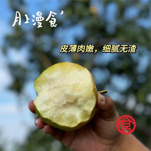 玉露香梨  皮薄肉嫩  细腻化渣  顺丰包邮 商品图1