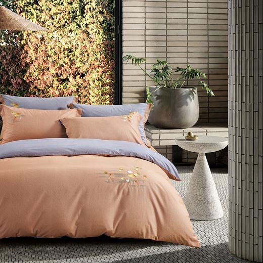 【远梦】远梦纯棉四季绒套件 商品图4