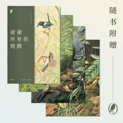 《飞鸟奇缘》-分销 商品图2