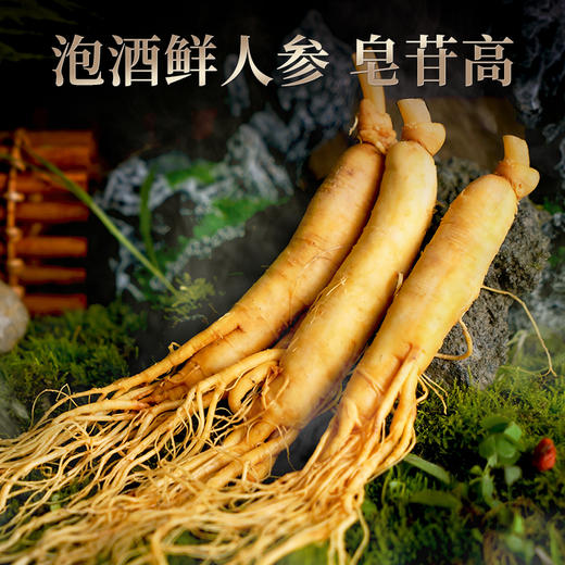 【长白山人参】保鲜参红色礼盒【分销】 商品图1