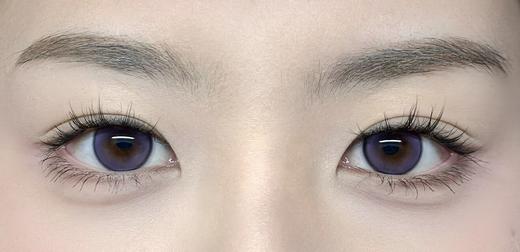 FullyGift半年抛·冷味粒紫·14.2mm中等着色·韩产2片 商品图5