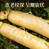 热销T【保鲜参礼盒】吉林特产人参新鲜人参150g8支装 商品缩略图2