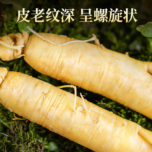 热销T【保鲜参礼盒】吉林特产人参新鲜人参150g8支装 商品图2
