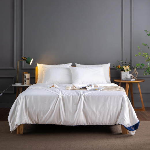 【远梦】纯棉提花蚕丝子母被 商品图0