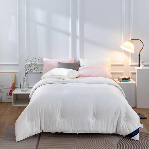 【远梦】植选大豆蚕丝搭档被 商品图1