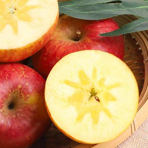 【四川好物】大凉山丑苹果  5斤/8斤/12枚礼盒 商品图0