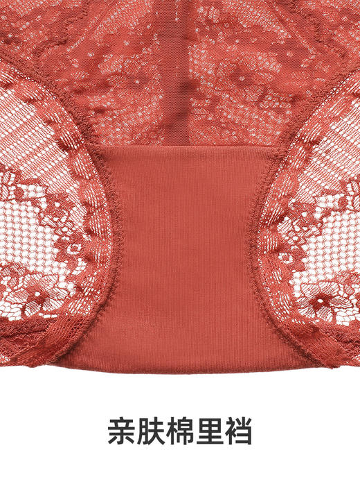 【Lolita小裤】遐全蕾丝中腰平角裤性感蕾丝透气纯棉裆薄款内裤女 商品图4