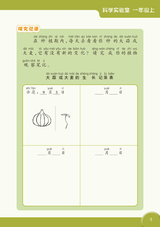 科学实验室 一年级上 商品图5