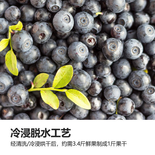 几分之几果干 西梅/蓝莓/凤梨/无花果 0添加原味清洁非蜜饯零食果干 烘焙工艺制  即食独立小包装 商品图4