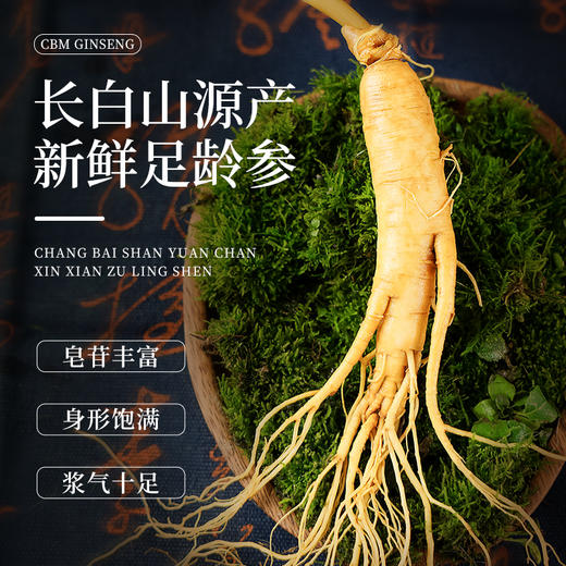 热销T【保鲜参礼盒】吉林特产人参新鲜人参150g8支装 商品图4