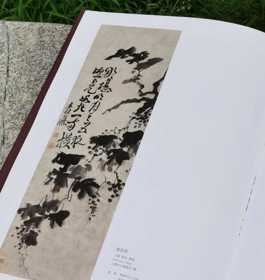 重点推荐！！！《徐渭书画全集》，精装，8开，函套装全2册，徐渭绘著，天津人民美术出版社2014年一版，2019年二印，近500页，定价800，售价398元。 商品图7