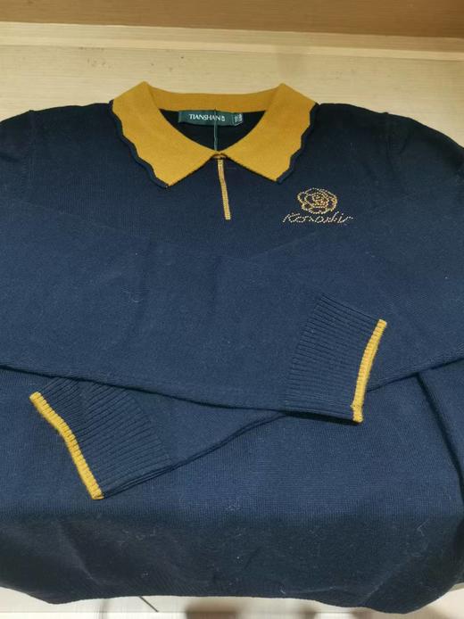 天山羊毛翻领女套衫 商品图0