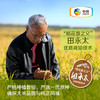 【7天鲜磨新米】中粮初萃 五优稻4号稻花香大米5kg袋装10斤 黑龙江五常产区直供 现磨现发 商品缩略图4