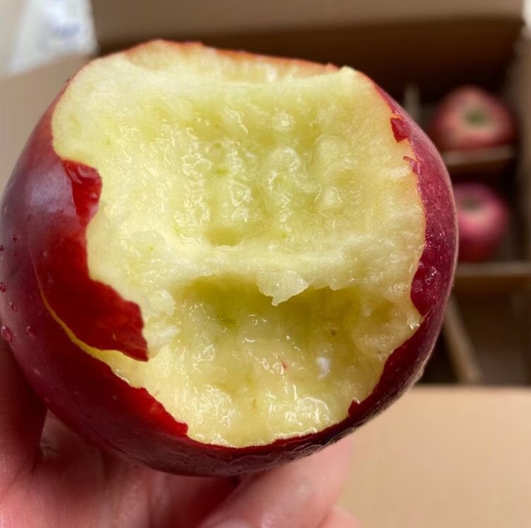 护山花牛苹果    气温低于零下10摄氏度地区，谨慎下单。冻伤不售后