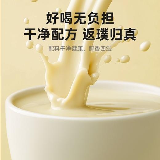 【冬季滋补】杞里香黄芪党参豆浆粉200g（红枣枸杞桂圆阿胶黄豆山药黄芪豆浆）、250g五黑豆浆粉（黑米速溶黑豆粉黑芝麻黑藜麦黑枸杞燕麦低聚异麦芽糖）；独立小袋早餐代餐速溶养生粉豆奶快手营养餐 商品图4