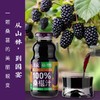 圣桑100%桑椹汁箱装 12瓶*260ml 纯果鲜榨 酸甜可口 商品缩略图0