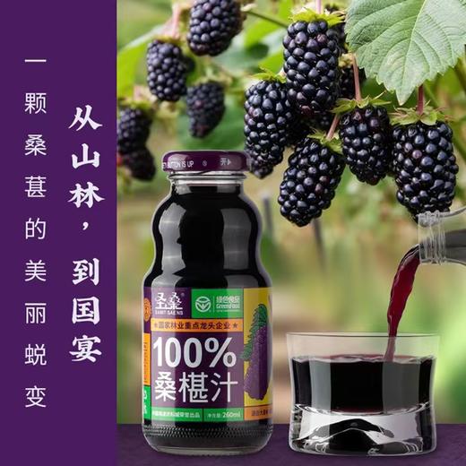 圣桑100%桑椹汁箱装 12瓶*260ml 纯果鲜榨 酸甜可口 商品图0