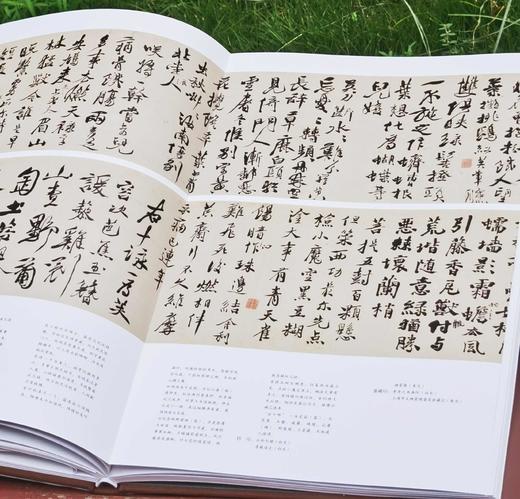 重点推荐！！！《徐渭书画全集》，精装，8开，函套装全2册，徐渭绘著，天津人民美术出版社2014年一版，2019年二印，近500页，定价800，售价398元。 商品图12