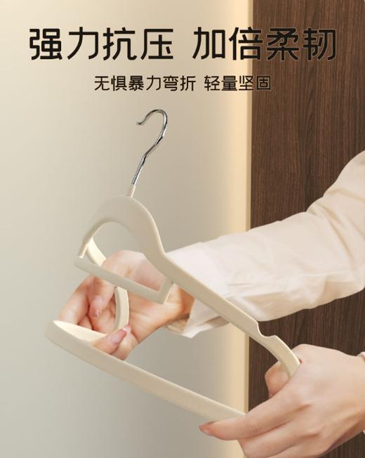 派士龙防滑不起包无痕植绒衣架   整理师推荐家用弧形2.58 商品图3