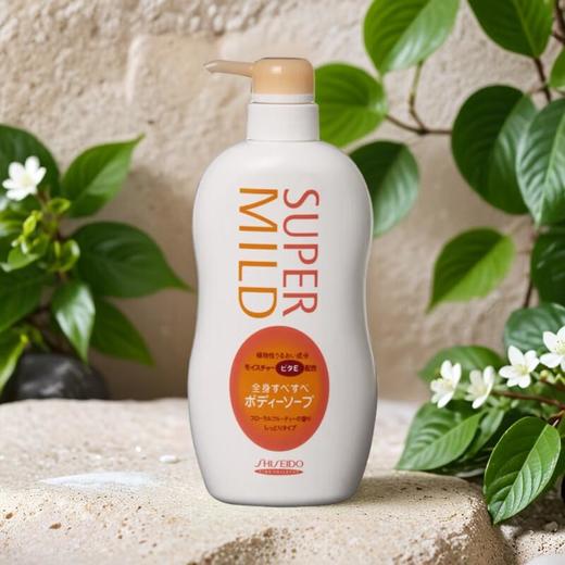 惠润沐浴露（淡雅果味香型） 650ml/瓶 商品图0