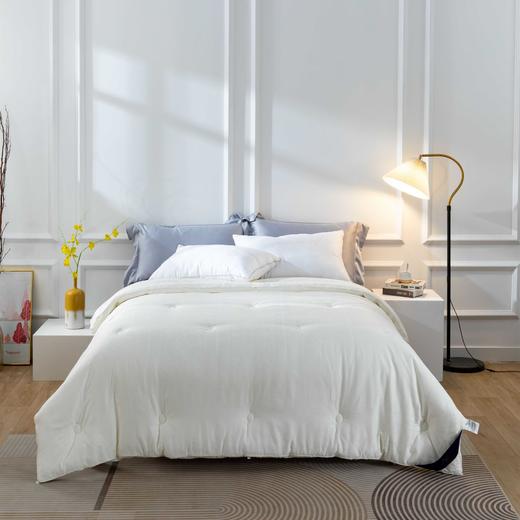 【远梦】蚕丝羊毛黄金双搭档智慧被 商品图0