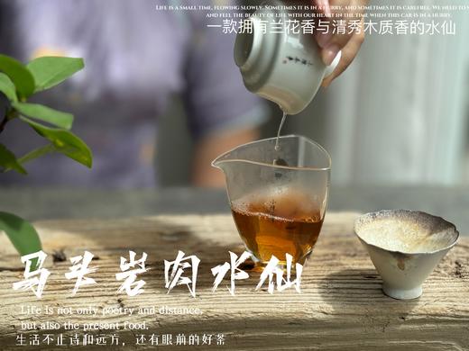 【好茶来了】2024马头岩高丛水仙，一款拥有兰花香与清雅木质香的水仙，亭亭玉立、娇艳可人！ 商品图11