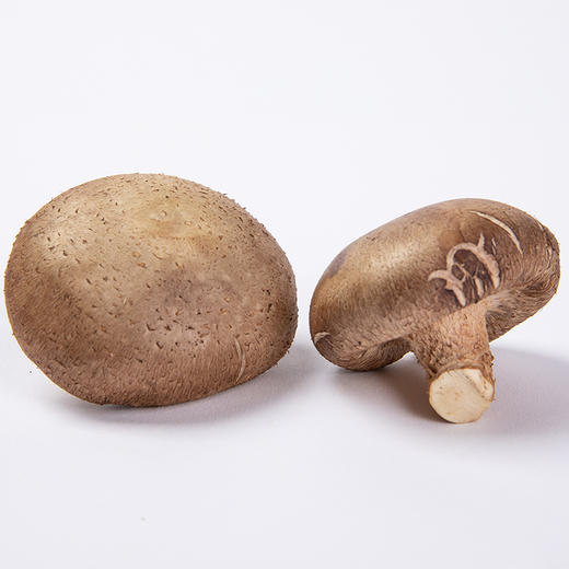 精品菜：鲜香菇250g 商品图1