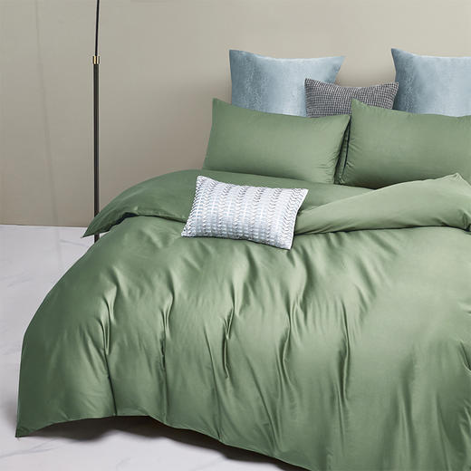 QFZ6-021 罗莱•简粹-绿色 商品图2