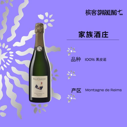 Paul Clouet Bouzy Vintage 2015&2016 Grand Cru Blanc de Noirs 宝酷爱布齐2015&2016年黑中白特级园香槟 商品图2