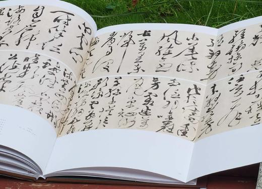 重点推荐！！！《徐渭书画全集》，精装，8开，函套装全2册，徐渭绘著，天津人民美术出版社2014年一版，2019年二印，近500页，定价800，售价398元。 商品图13