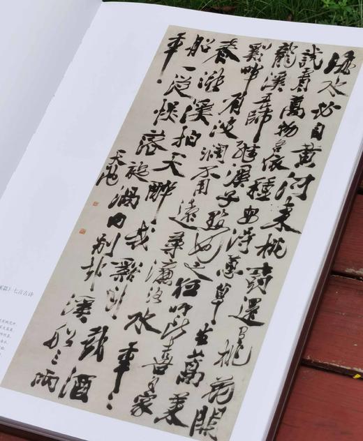 重点推荐！！！《徐渭书画全集》，精装，8开，函套装全2册，徐渭绘著，天津人民美术出版社2014年一版，2019年二印，近500页，定价800，售价398元。 商品图9