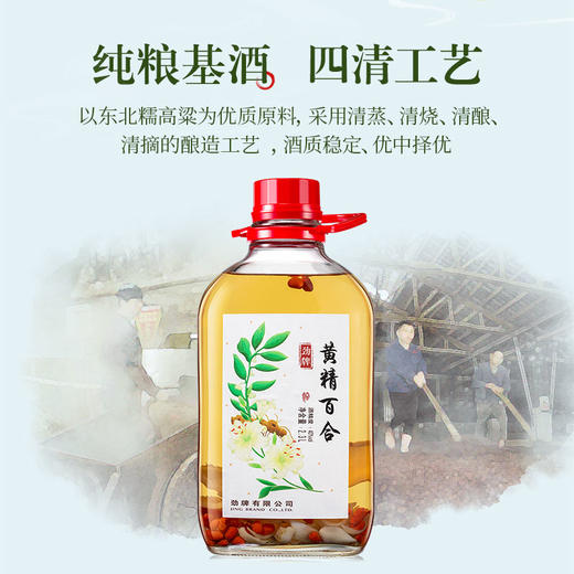 【特色浸泡】2.3L40度劲牌黄精百合酒 商品图2