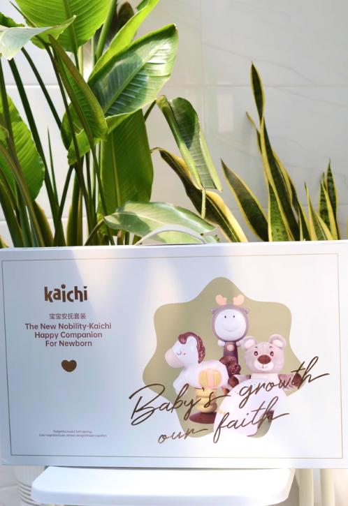 kaichi凯驰安抚玩具新生婴儿手摇铃礼盒可咬安抚抓握宝宝礼物套装 商品图1