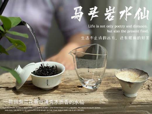 【好茶来了】2024马头岩高丛水仙，一款拥有兰花香与清雅木质香的水仙，亭亭玉立、娇艳可人！ 商品图8