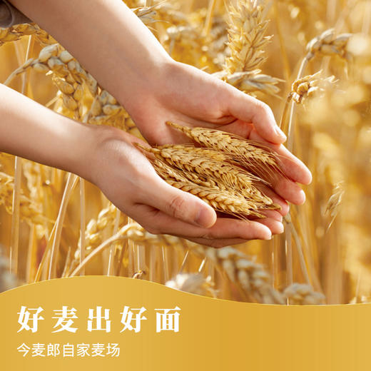 【店铺专享】【活动-弹面桶】今麦郎弹面桶大份量红烧牛肉面6桶/12桶装 商品图5