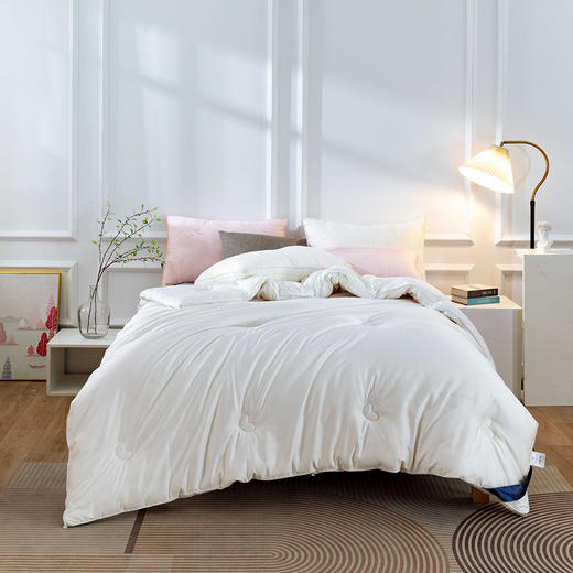 【远梦】植选大豆蚕丝搭档被 商品图2