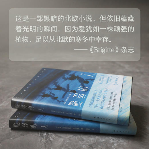 脆弱的人 商品图2