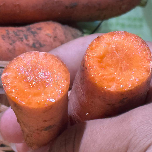 【顺丰发货】云南有机红胡萝卜 口感脆爽清甜新鲜蔬菜整箱发货3斤 商品图5